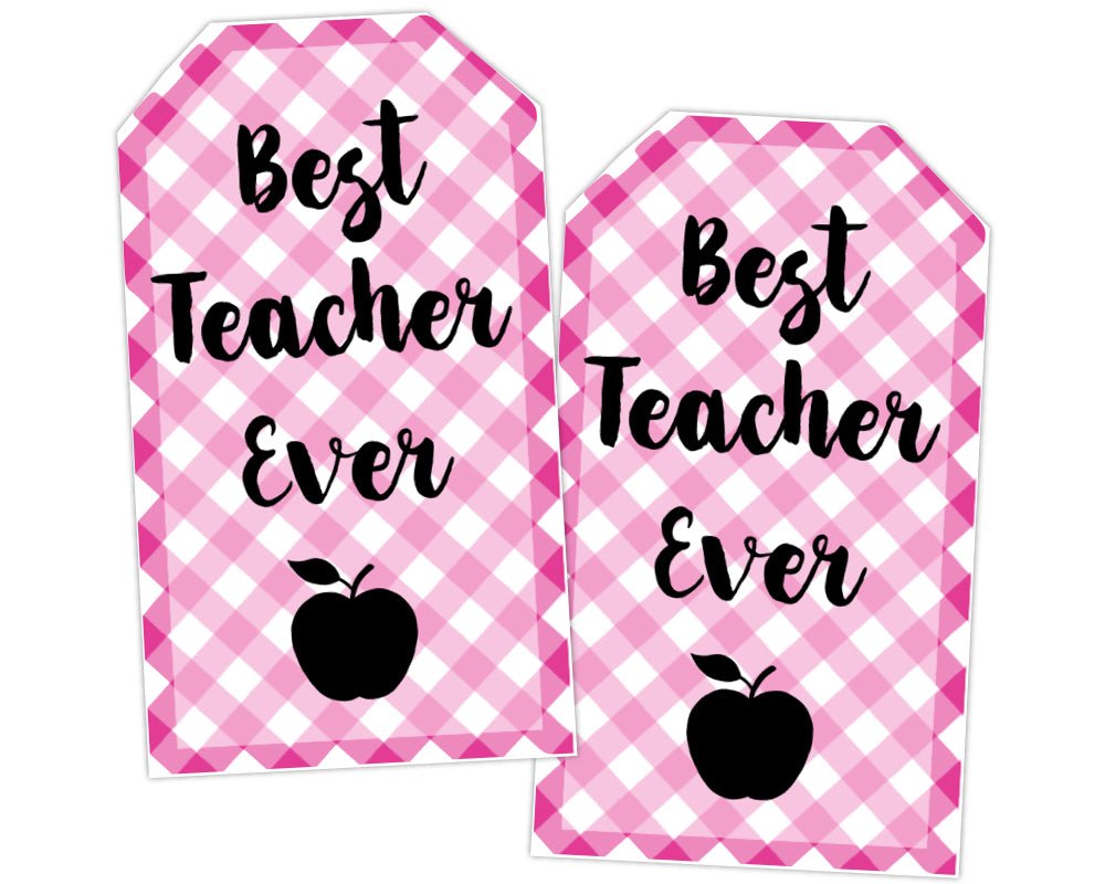 pink gingham plaid best teacher ever gift tag