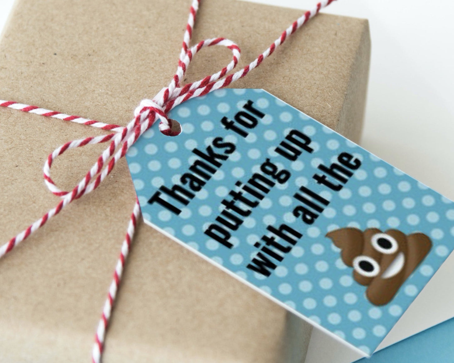 thanks for putting up with all the crap printable thank you tags