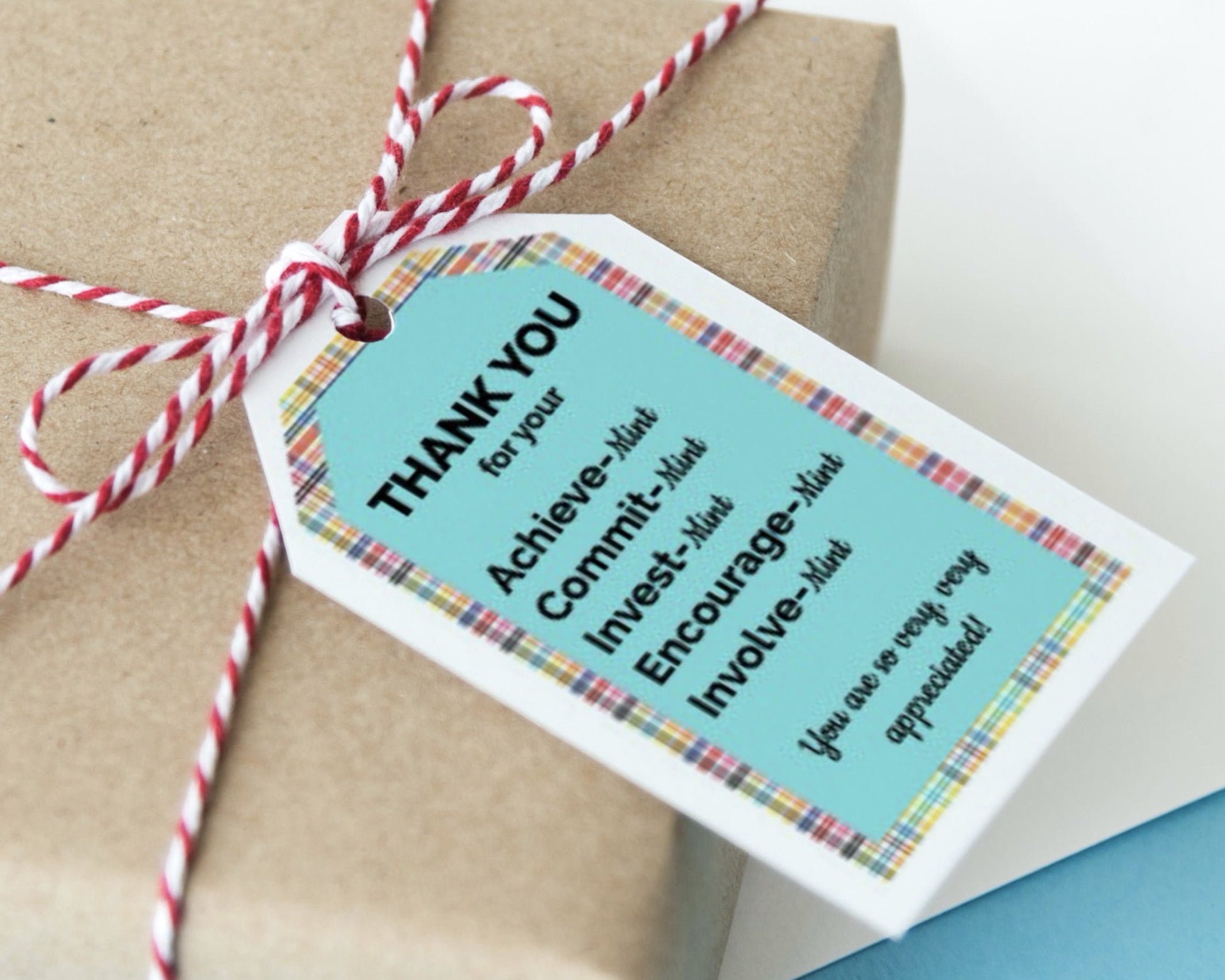 punny mint themed teacher and volunteer appreciation printable thank you tags